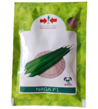 RidgeGourd / Turai Naga 50 grams